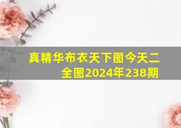 真精华布衣天下图今天二 全图2024年238期